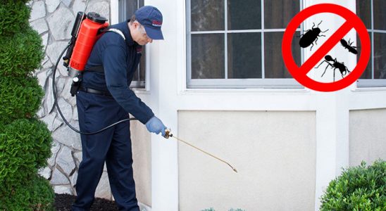 Gemlik Böcek İlaçlama böcek ilaçlama ve haşere kontrolü — ilaclama-tr.com